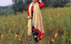 北京爱情故事插曲dj